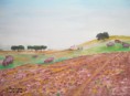 Paisagem Alentejana